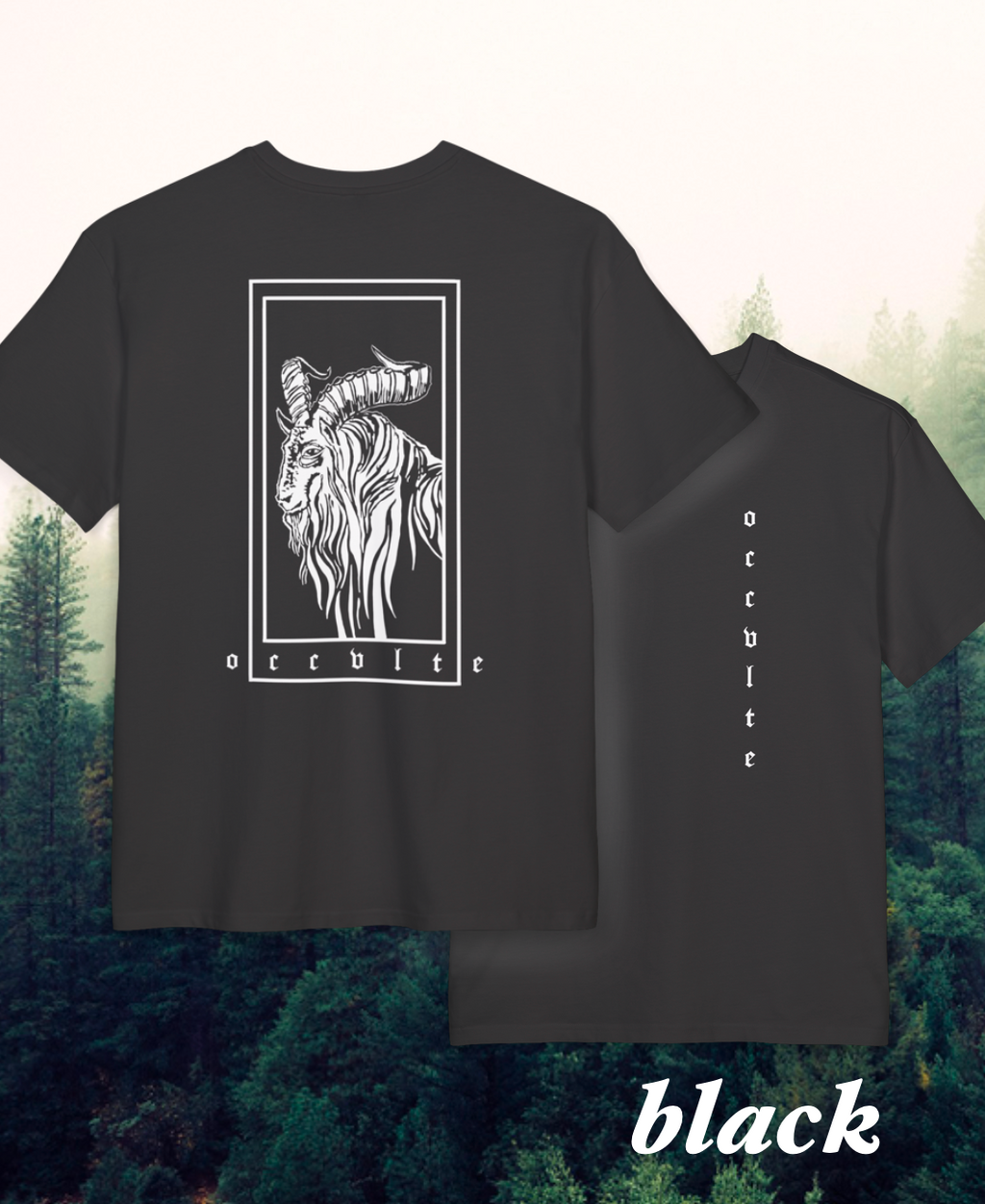 THE GOAT - Unisex Heavy Oversize Tee